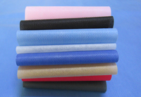 新河涤纶(PET)无纺布是什么